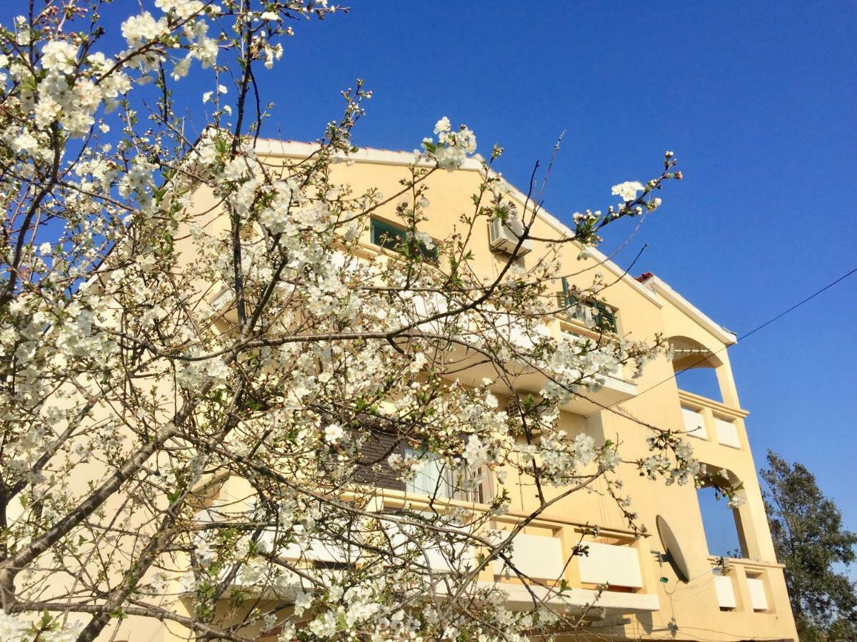 Apartmani Bosiljka Nin Kültér fotó