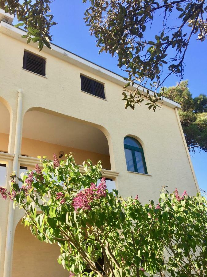 Apartmani Bosiljka Nin Kültér fotó