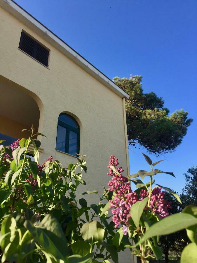 Apartmani Bosiljka Nin Kültér fotó